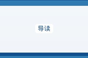 实战案例完整指南